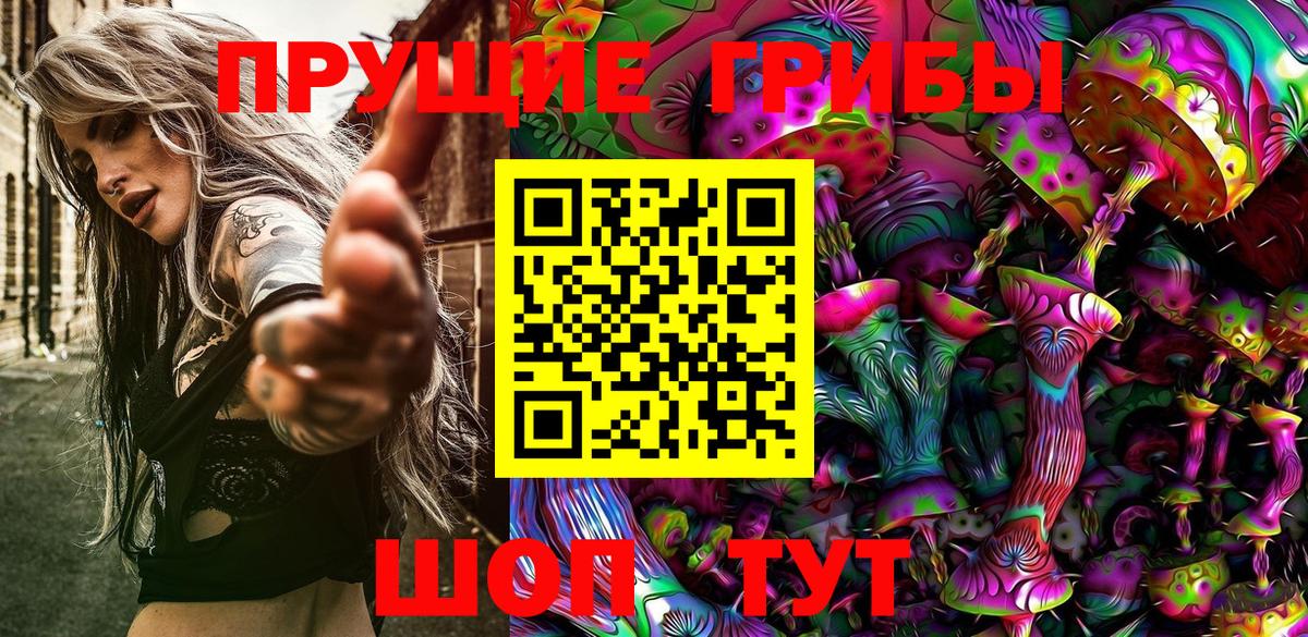 Галлюциногенные грибы Cubensis  Вход с VPN  Галлюциногенные грибы MAGIC MUSHROOMS  Новошахтинск 